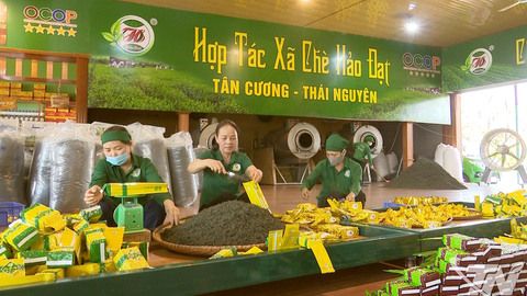Thái Nguyên thành lập mới 250 hợp tác xã trong 5 năm