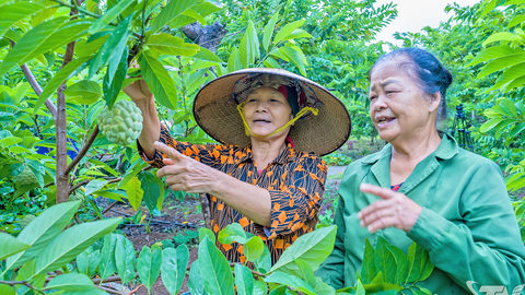 Na La Hiên đầu mùa được giá