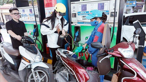 Thí điểm một số chính sách trong triển khai lộ trình sử dụng xăng E10