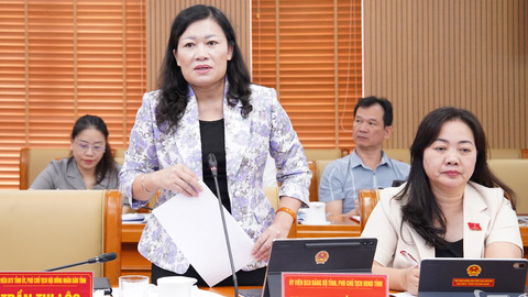 Thẩm tra các báo cáo, tờ trình tại Kỳ họp thứ năm HĐND tỉnh Thái Nguyên