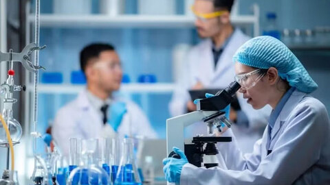 Siết kỷ luật thực thi, tạo đột phá trong chuyển đổi số