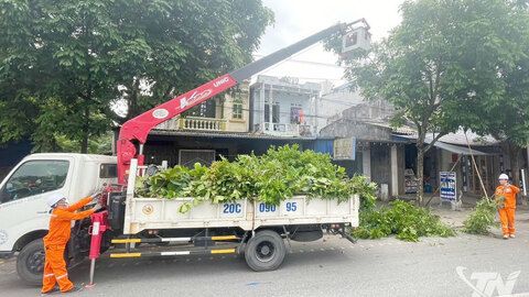 Điện lực Khu vực Thái Nguyên: Đảm bảo vận hành lưới điện ổn định