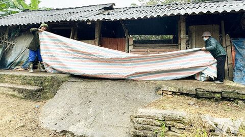 Bảo vệ đàn vật nuôi trong giá rét