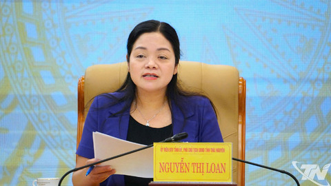 Rà soát tiến độ triển khai Festival Trà Quốc tế - Thái Nguyên năm 2026