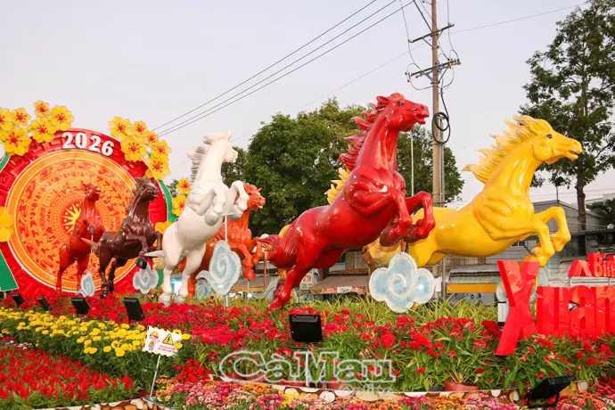 Mã đáo thành công - Kỳ vọng xuân mới của phường Bạc Liêu