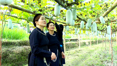 Nông dân thích ứng với biến đổi khí hậu