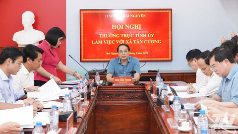 Xây dựng xã Tân Cương thành trung tâm kinh tế trà và du lịch sinh thái của tỉnh