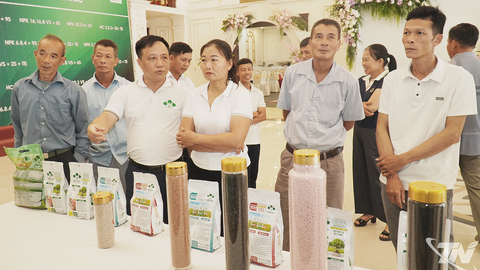 Hội nghị giới thiệu giải pháp dinh dưỡng khép kín cho cây chè Thái Nguyên