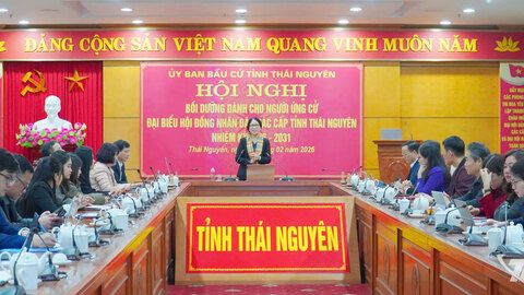 Bồi dưỡng người ứng cử đại biểu HĐND các cấp