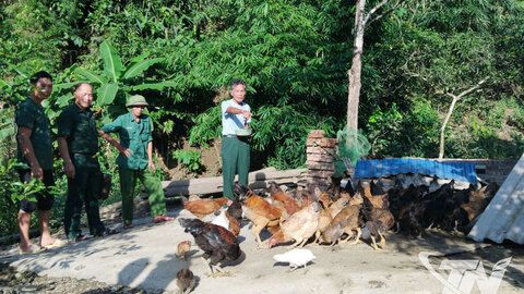 Lan tỏa mô hình 'Ngân hàng gà đen' ở Phong Quang