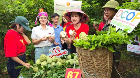 Livestream 'Cây na số' thu hút 10 triệu lượt người tiếp cận