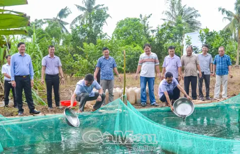 Xã Nguyễn Phích - Khai thác tiềm năng đất rừng, đa dạng hóa kinh tế