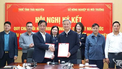 Tăng cường phối hợp quản lý tài nguyên khoáng sản