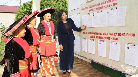 Chuẩn bị chu đáo, bảo đảm cuộc bầu cử thực sự trở thành ngày hội của toàn dân