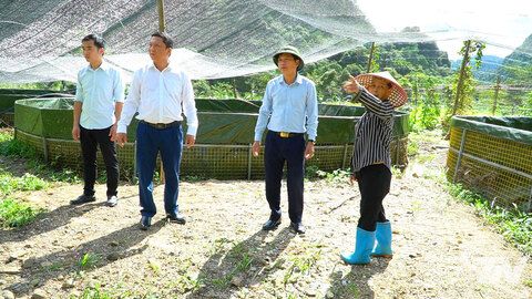 Chuyển động mới ở Thần Sa