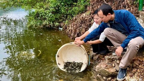 Phấn đấu sản lượng thủy sản các loại đạt 23,1 nghìn tấn