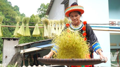 Bước chuyển nghề làm cốm