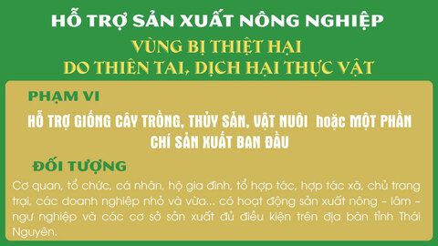 Thái Nguyên: Hỗ trợ sản xuất nông nghiệp vùng bị thiệt hại do thiên tai, dịch hại thực vật