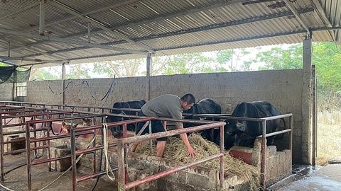 Chăn nuôi bền vững từ nền tảng công nghệ