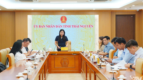 Thống nhất các nội dung chuẩn bị Festival Trà Quốc tế - Thái Nguyên năm 2026