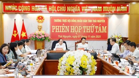 Cho ý kiến về Kế hoạch tổ chức kỳ họp tổng kết nhiệm kỳ 2021-2026, HĐND tỉnh Thái Nguyên