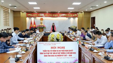 Thẩm tra các tờ trình, dự thảo nghị quyết trình tại Kỳ họp thứ 9, HĐND tỉnh khóa XIV