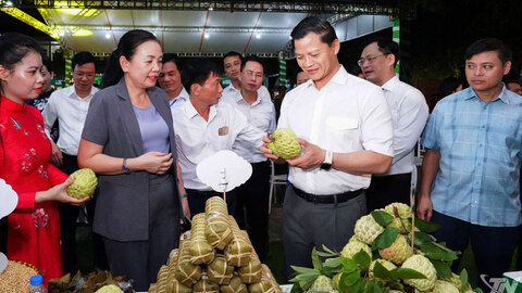Khai mạc chương trình 'Xúc tiến, kết nối tiêu thụ sản phẩm na La Hiên và nông sản tỉnh Thái Nguyên 2026'