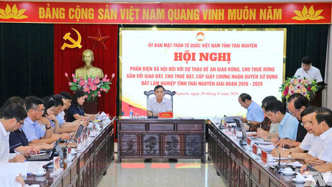 Xác lập rõ quyền lợi và nghĩa vụ của chủ rừng, bảo đảm hài hòa lợi ích