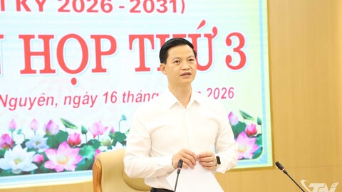Phiên họp thứ 3 UBND tỉnh: Tập trung cao độ thực hiện mục tiêu tăng trưởng
