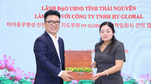 Phó Chủ tịch UBND tỉnh Nguyễn Thị Loan làm việc với Công ty TNHH HY Global (Hàn Quốc)