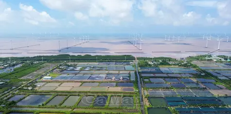 Cà Mau chấp thuận chủ trương đầu tư 3 dự án điện gió gần 7.400 tỷ đồng