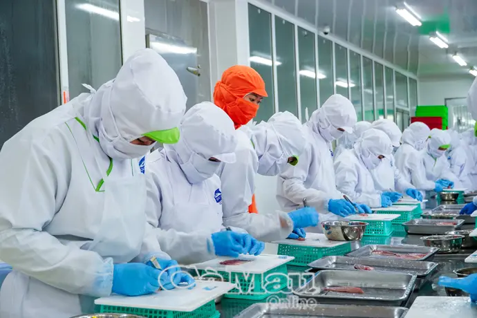 Xây dựng nền tảng tài chính vững chắc cho nhiệm kỳ mới