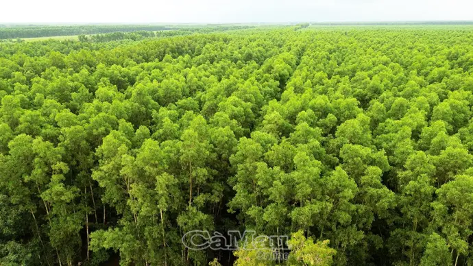 Phê duyệt quy hoạch Khu du lịch sinh thái Vườn Quốc gia U Minh Hạ