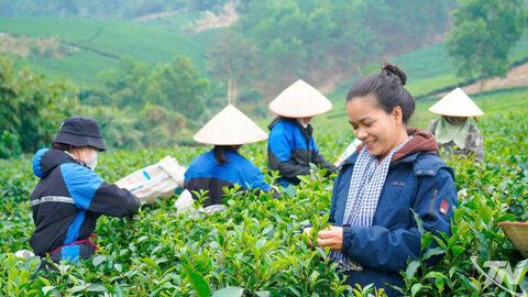 Khởi nghiệp từ văn hóa bản địa