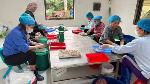 Hòa Xá: Từ “hạt nhân” mô hình đến bài toán phát triển nông nghiệp hàng hóa bền vững
