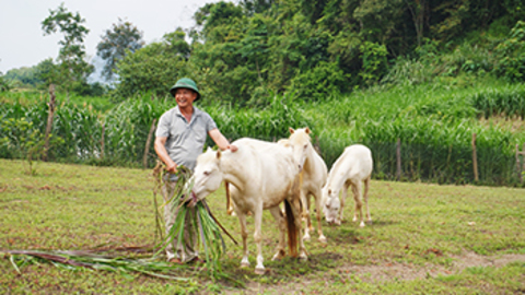 Hướng đi giảm nghèo bền vững