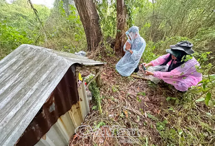 Đất mẹ gọi các anh về