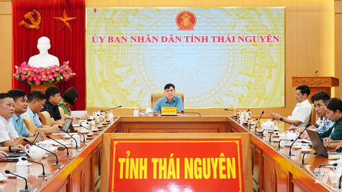 Triển khai quy định mới về cấp mã số vùng trồng