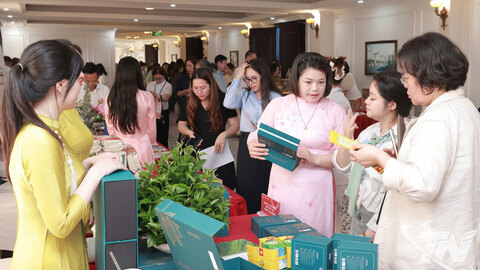 Cầu nối nữ doanh nhân Việt - Hàn