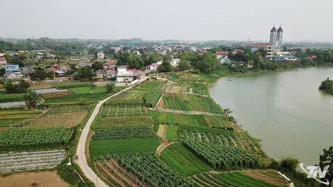 Vươn lên những mầm xanh hy vọng