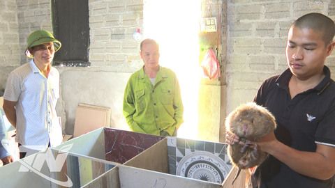 Tăng cường quản lý hoạt động gây nuôi động vật hoang dã