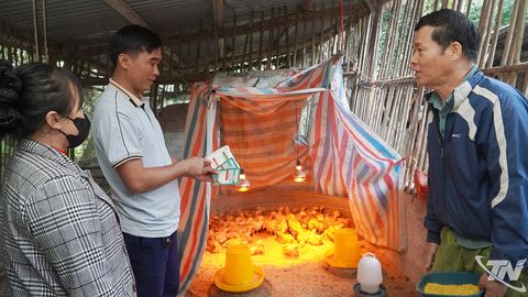 Đa dạng hóa sinh kế ở vùng khó