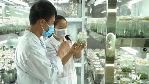 Tháo gỡ điểm nghẽn để nghị quyết đi vào cuộc sống