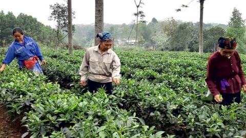 Hà Nội thực hiện Chương trình mục tiêu quốc gia giảm nghèo bền vững giai đoạn 2022-2025: Đồng bộ các chương trình, dự án hỗ trợ