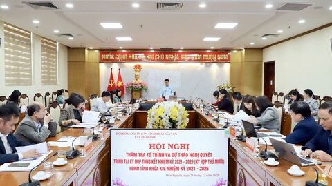 Ban Pháp chế HĐND tỉnh thẩm tra các tờ trình, dự thảo nghị quyết trình Kỳ họp thứ 10