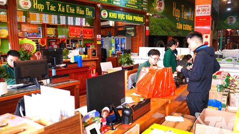 Chè Thái Nguyên được giá từ chất lượng