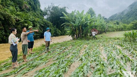 Mưa lớn gây thiệt hại đáng kể tại các xã phía Bắc Thái Nguyên