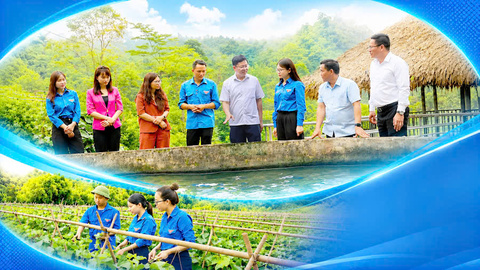 Đồng hành để thanh niên phát triển kinh tế