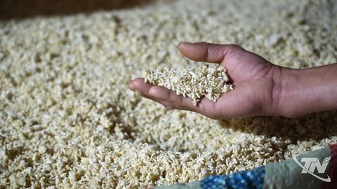 Làng nghề tương Úc Kỳ trở lại nhịp sản xuất