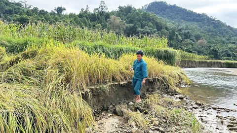 Người dân mong xây kè chống sạt lở